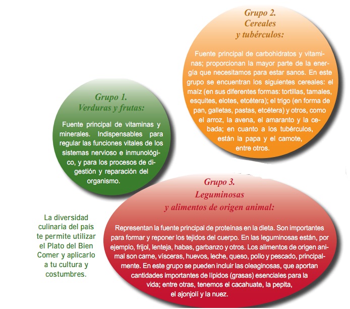 el plato del bien comer caracteristicas